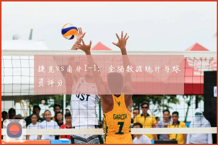 捷克vs南非1-1：全场数据统计与球员评分